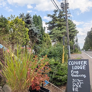 コニファーロッヂの看板と園路沿いの植栽（ナーセリー前の風景）