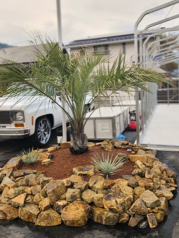 鉢植えのアガベなど、ドライガーデン向けの多肉質な植物