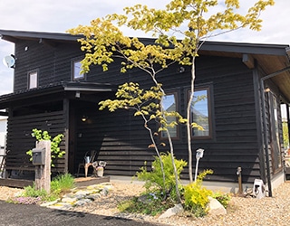 青空と木漏れ日が差し込む樹木の葉（視覚的な癒し）